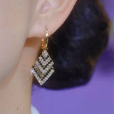 Luxury Zebra Stripe Diamond Earrings – Everyday Gifts — 5