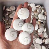 Fashion Creative Simple Natural Sun Shell Pendant – Stylish Gifts — 1