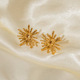 Women's Fashion Temperament Radial Earrings – Stylish Gifts — 11