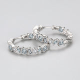 S925 Sterling Silver Irregular Zircon Earrings Women's – Gifts for Her — 3