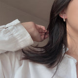 Brooch Full Diamond Fashion Earrings – Stylish Gifts — 6