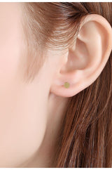 S925 Silver Earrings Simple Fashion Disc Twist Screw – Stylish Gifts — 3