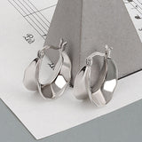 Frigid Wind Versatile Glossy Irregular Wave Earrings – Birthday Gifts — 1
