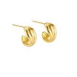 Korean Style Niche Design Earrings C- Ring Irregular – Stylish Gifts — 4