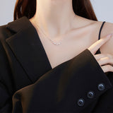 S925 Silver French Zircon Necklace For Women Ins – Jewelry Gift Ideas — 4
