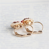 Elegant Design French Style Earrings – Stylish Gifts — 2