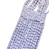 Light Luxury Drill Tassel Collarbone Chain – Jewelry Gift Ideas — 5