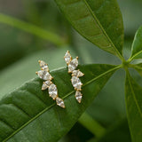 Micro Inlaid Zircon Olive Branch Leaves Ear Studs – Gifts for Her — 3