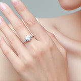 S925 Sterling Silver Light Luxury Zircon Ring – Useful Gifts — 4