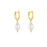 S925 Sterling Silver Simple And Elegant Earrings – Jewelry Gift Ideas — 4