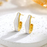 Fashion Stainless Steel Hook Enamel Earrings – Stylish Gifts — 6