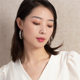 Simple European American Circle Earrings Alloy – Practical Gifts — 10