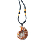 Natural Ram's Horn Conch Fossil Pendant Specimen – Jewelry Gift Ideas — 2