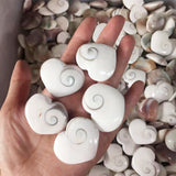 Fashion Creative Simple Natural Sun Shell Pendant – Stylish Gifts — 2