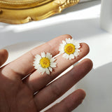 Epoxy Daisy Real Flower Dried Flower Earrings – Stylish Gifts — 4