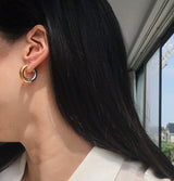 Metal Thick Titanium Steel Gold Plated Earrings – Meaningful Gifts — 1