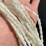 Seashell Vase Bracelet Necklace Material – Jewelry Gift Ideas — 1