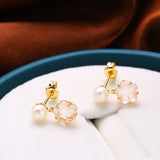 Anti Allergic Natural Crystal Earrings – Everyday Gifts — 1