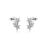 S925 Sterling Silver Special-interest Design Stud – Meaningful Gifts — 6