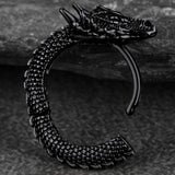 Stainless Steel Dragon Earrings Punk Hip Hop – Birthday Gifts — 6