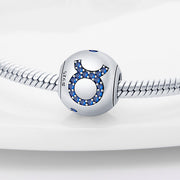 Twelve Constellation Scattered Beads S925 – Jewelry Gift Ideas — 7