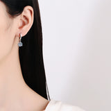 European And American S925 Sterling Silver Earrings – Stylish Gifts — 9