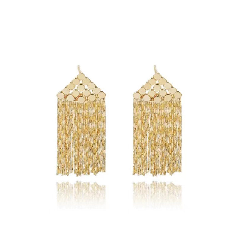 Light Luxury Small Simple Metal Tassel Earrings – Small Gift Ideas — 1