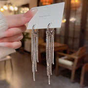 Silver Needle Long Fringed Zircon Earrings – Thoughtful Gifts — 9