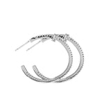 Plain Ring Rhinocaster Zircon Premium Sense – Holiday Gift Ideas — 4