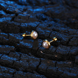 Simple Small Pearl Earrings Temperament Female – Gifts for Her — 3