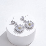 Earrings Frosted Shell Beads Solid Color – Surprise Gifts — 2