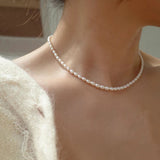 Niche Ins Style Oval Shell Pearl And Pearl – Jewelry Gift Ideas — 1