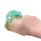 Cute Personality Frog Ring Retro Exaggerated Style – Stylish Gifts — 2