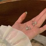Fashion Pearl Star Stud Earrings – Stylish Gifts — 5