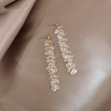 Temperament Long Tassel Earrings – Everyday Gifts — 9