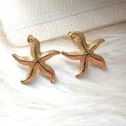 Super Sweet Cool Starfish Elegant Stainless Steel – Small Gift Ideas — 5