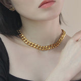 Titanium Steel Sweater Necklace Thick Female – Jewelry Gift Ideas — 5