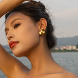 Stainless Steel Titanium Steel Gold Ear Rings – Useful Gifts — 7