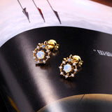 Women's Zircon Anti Allergy Earrings – Gifts for Her — 1