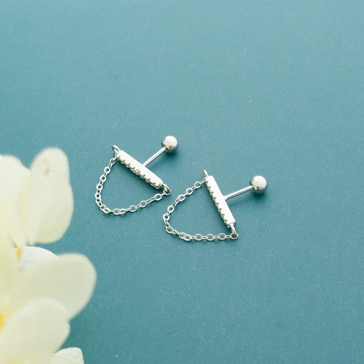 Full Zirconium Straight Rod Silver Earrings – Meaningful Gifts — 2