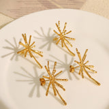 Fireworks Korean Style Niche Designer Stud Earrings – Stylish Gifts — 3