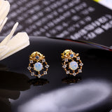 Women's Zircon Anti Allergy Earrings – Gifts for Her — 4