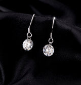 Graceful Personality Elegant Earrings For Women – Gifts for Her — 4