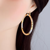 Simple Gold Women's Metal Alloy Earrings – Gifts for Her — 11