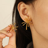 Fireworks Korean Style Niche Designer Stud Earrings – Stylish Gifts — 4