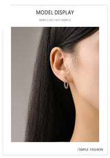 S925 Sterling Silver Color Zircon Earrings – Gift Ideas — 6