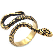 Vintage Men's Long Snake Stainless Steel Ring – Gifts for Him — 1