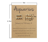 Twelve Constellation Card Fashion Stud Earrings – Stylish Gifts — 9