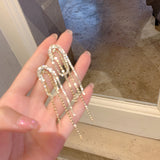 Women's Long Micro-set Zircon Tassel Earrings – Gifts for Her — 2