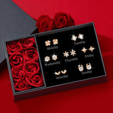 Women's Fashion Sterling Silver Pin Earrings Set – Stylish Gifts — 4